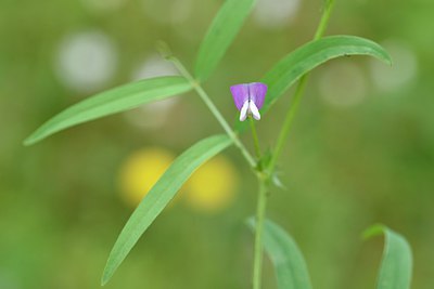 BUITEN BEELD Foto: 255032