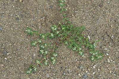 BUITEN BEELD Foto: 255073