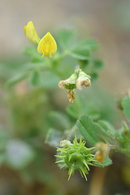 BUITEN BEELD Foto: 255094