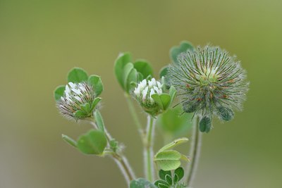 BUITEN BEELD Foto: 255116
