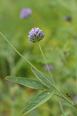 BUITEN BEELD Foto: 255189
