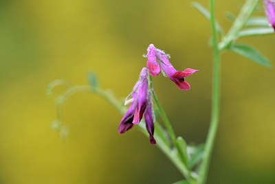 BUITEN BEELD Foto: 255252