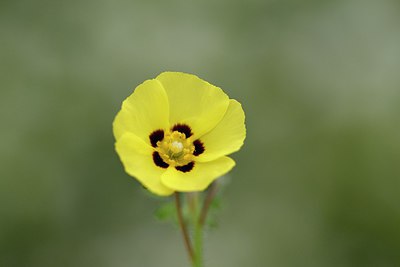 BUITEN BEELD Foto: 255266