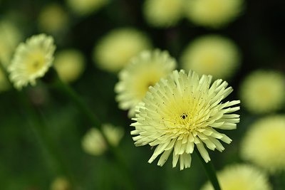 BUITEN BEELD Foto: 255316
