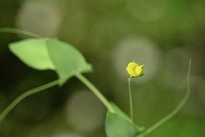 BUITEN BEELD Foto: 255344