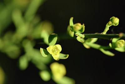 BUITEN BEELD Foto: 255402