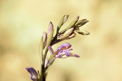 BUITEN BEELD Foto: 255404