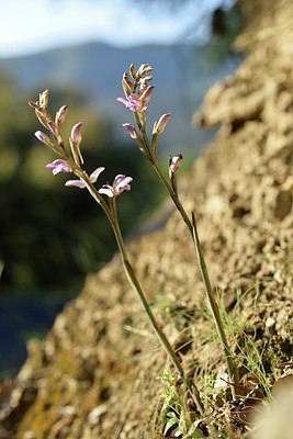 BUITEN BEELD Foto: 255405