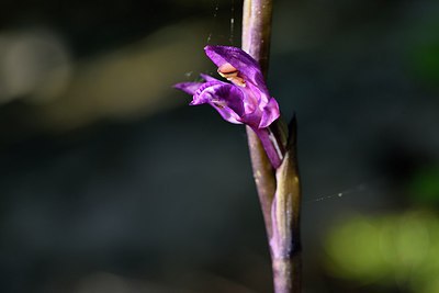 BUITEN BEELD Foto: 255422