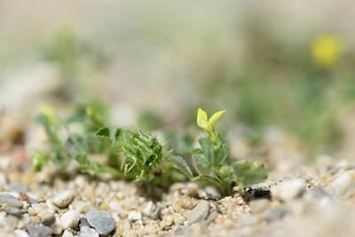 BUITEN BEELD Foto: 255442