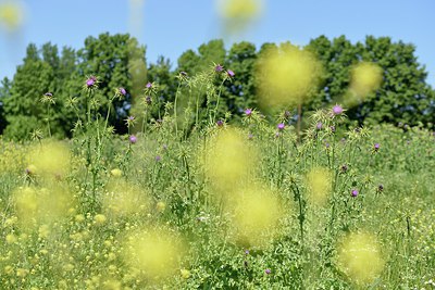 BUITEN BEELD Foto: 255496