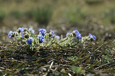 BUITEN BEELD Foto: 255560
