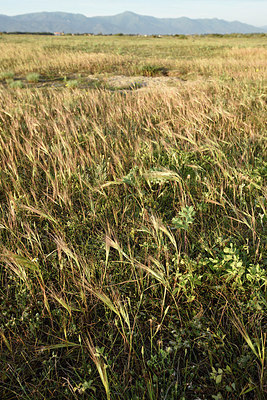 BUITEN BEELD Foto: 255563