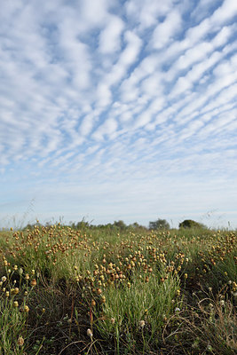 BUITEN BEELD Foto: 255571
