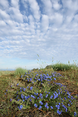 BUITEN BEELD Foto: 255574