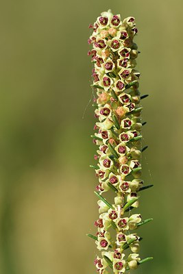 BUITEN BEELD Foto: 255646