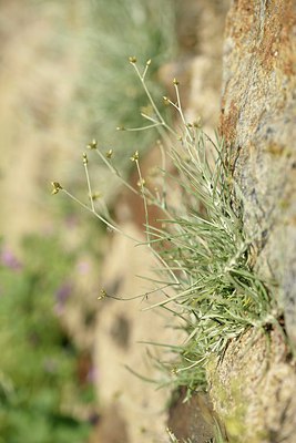 BUITEN BEELD Foto: 255656