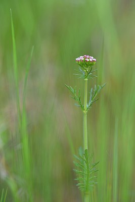 BUITEN BEELD Foto: 255740