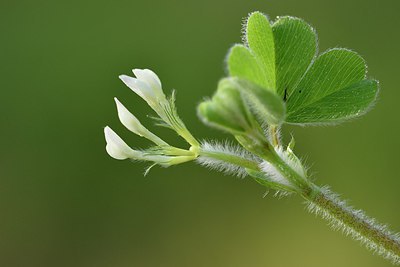BUITEN BEELD Foto: 255769
