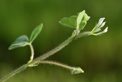 BUITEN BEELD Foto: 255770