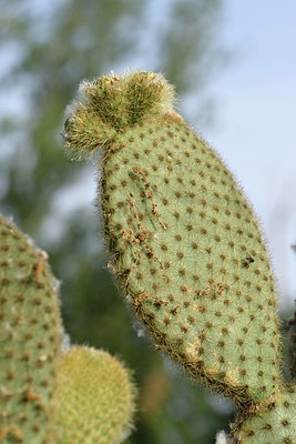 BUITEN BEELD Foto: 255773