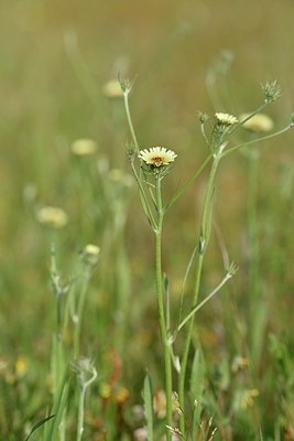 BUITEN BEELD Foto: 255785