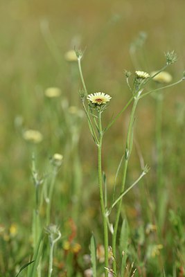 BUITEN BEELD Foto: 255785