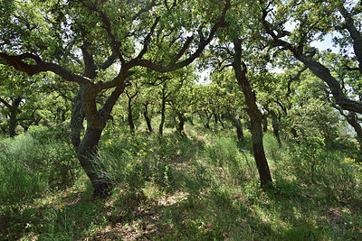 BUITEN BEELD Foto: 255796