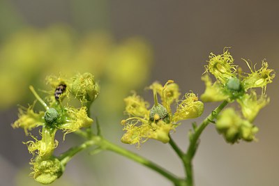 BUITEN BEELD Foto: 255824