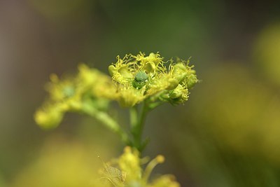 BUITEN BEELD Foto: 255825