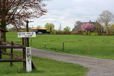 BUITEN BEELD Foto: 255846