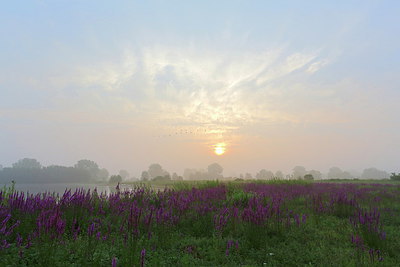 BUITEN BEELD Foto: 255849