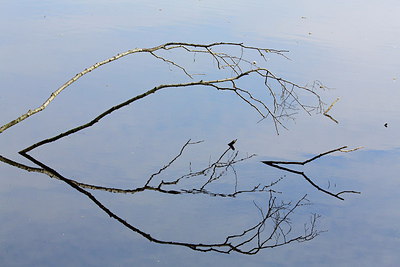 BUITEN BEELD Foto: 255855