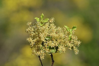 BUITEN BEELD Foto: 255894