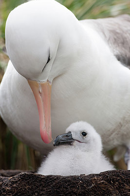 BUITEN BEELD Foto: 255969