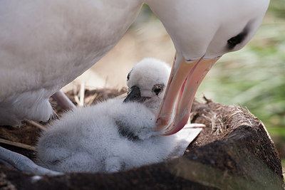 BUITEN BEELD Foto: 255970