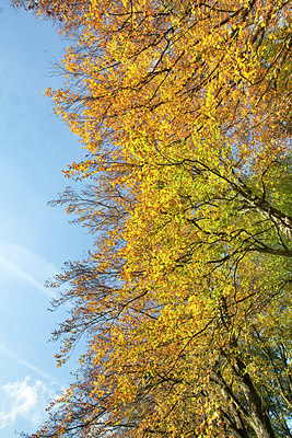 BUITEN BEELD Foto: 256112