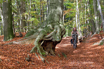 BUITEN BEELD Foto: 256116