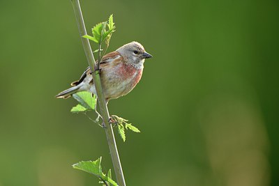 BUITEN BEELD Foto: 256121