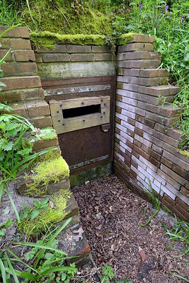 BUITEN BEELD Foto: 256165