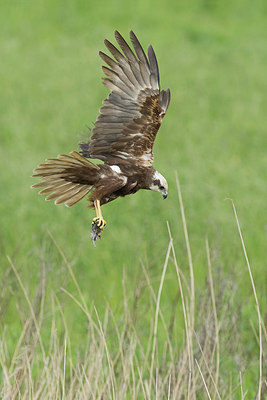 BUITEN BEELD Foto: 256171