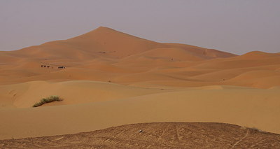 BUITEN BEELD Foto: 256173