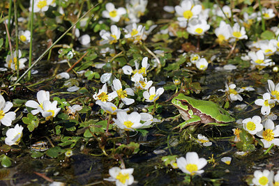 BUITEN BEELD Foto: 256213