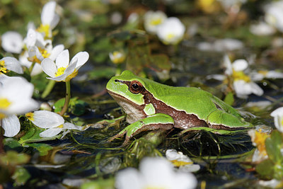 BUITEN BEELD Foto: 256214