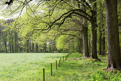 BUITEN BEELD Foto: 256231