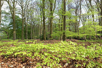 BUITEN BEELD Foto: 256232