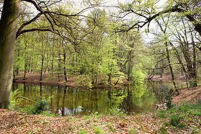 BUITEN BEELD Foto: 256233