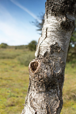 BUITEN BEELD Foto: 256235