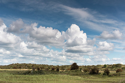 BUITEN BEELD Foto: 256240