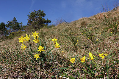 BUITEN BEELD Foto: 256255